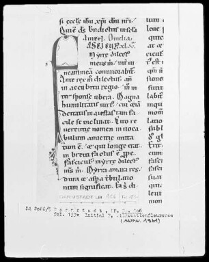 Bernardus, Sermones in Contica Canticorum — Initiale F, Folio 153verso