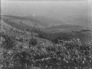 Waldfläche : Blick über eine hügelige Waldfläche mit Rodungsstellen