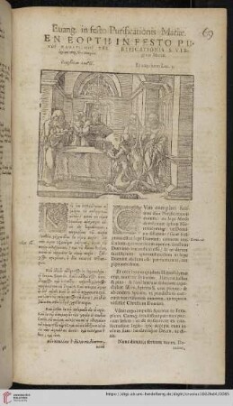 In festo Purificationis S. Virginis Mariæ