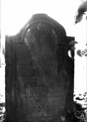 Grabstein 483