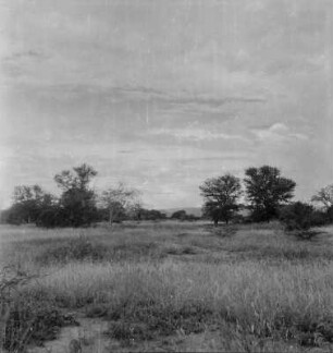 Landschaft : Blick über eine Ebene in der Provinz Iringa
