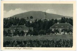 Großschweidnitz. Landesanstalt