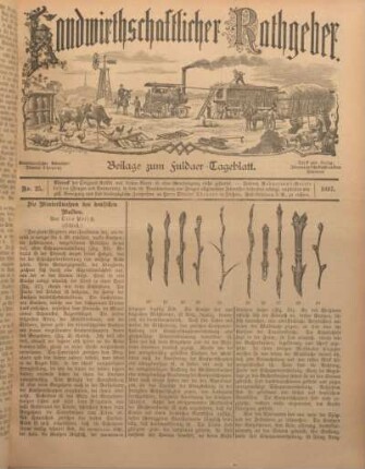 25: Beilage vom Montag, 29. November 1897