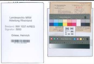 Entnazifizierung Heinrich Griese , geb. 00.00.0000 (Verw.Direktor)