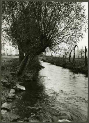 Brücke