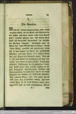 V. Die Ameisen