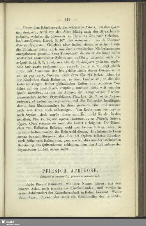Pfirsich, Aprikose