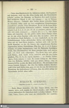 Pfirsich, Aprikose