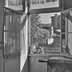 Blick aus dem Fenster eines Wohnhauses in Plowdiw