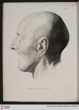 Tafel IX: Ernst Moritz Arndt
