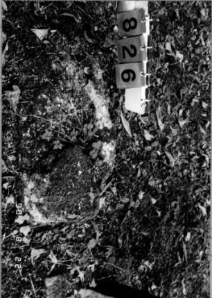 Grabstein 826