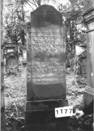 Grabstein 1177