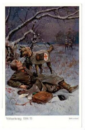 Völkerkrieg 1914/15 Nr. 125: Gefunden! (Mayer)