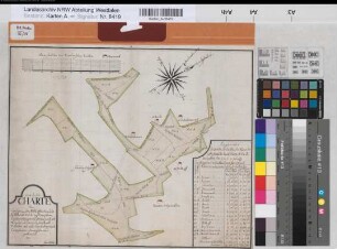 Isselhorst (Gütersloh) Teilung der Withöfferheide mit Register um 1780 100 rh. Ruten = 15,5 cm 31,5 x 38,5 kol. Zeichnung Oberwitler Spez.Verz. Markenkarten XI Nr. 34