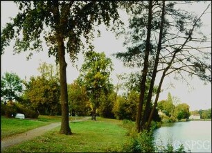 Potsdam, Neuer Garten, Rundbank nördlich vom Marmorpalais, im Hintergrund das Grüne Haus.