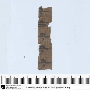 Späthieratischer Papyrusfragmente, Liste oder Abrechnung