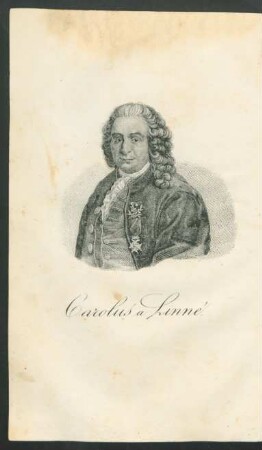 Portrait Carolus a Linné.