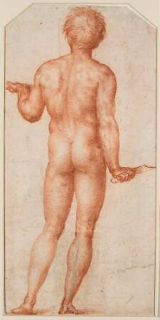 Ein nackter Mann, vom Rücken gesehen (recto)
