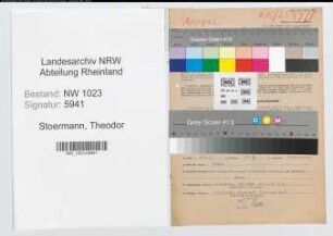 Entnazifizierung Theodor Stoermann , geb. 08.10.1903 ()