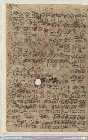 [2.] Un poco allegro