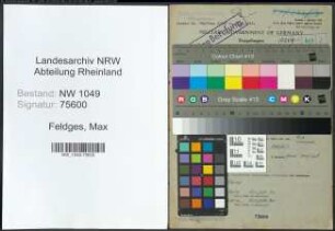 Entnazifizierung Max Feldges , geb. 06.01.1883 (Kaufmaennischer Angestellter)
