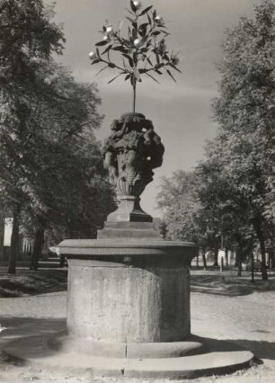 Oranienbaum-Wörlitz. Marktplatz. Orangenbaum (1710/1720; Sandstein, Schmiedeeisen)