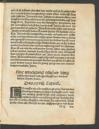 Eine anzeigung etlicher ding ... Das .xxviii. Capitel.