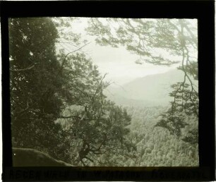 Regenwald im Tal des Rio Figueroa