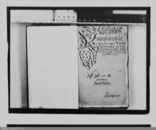 . Berichte des württembergischen und nassauischen Gesandten Johann von Hiller aus Regensburg: Band 2
