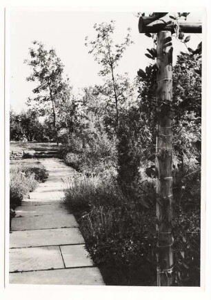 Reichsgartenschau 1939 auf dem Killesberg, Stuttgart: Plattenweg Richtung Stützmauer, Pergola