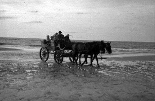 Juist: Pferdewagen im Watt