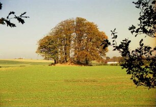 Hügelgrab