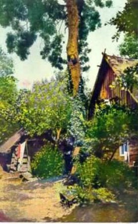 Wohnhäuser im Spreewald