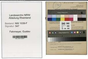 Entnazifizierung Gustav Fahrmeyer , geb. 11.09.1910 (Holzhaendler)