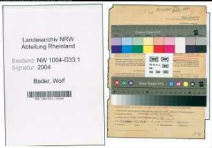 Entnazifizierung Wolf Bader , geb. 13.03.1886 (Studiendirektor)