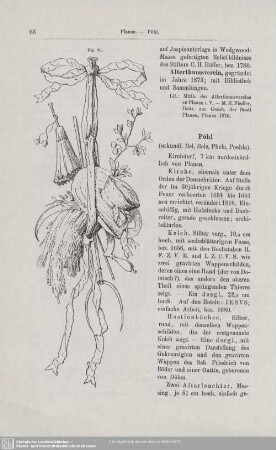 Pöhl