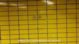 fleck