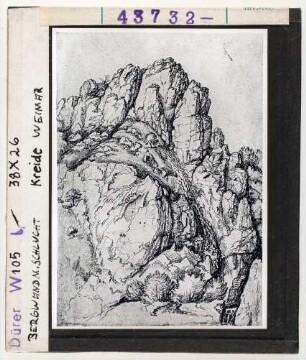 Albrecht Dürer: Bergwand mit Schlucht. Kreide. Weimar