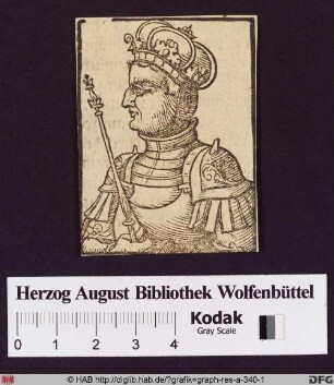 Bildnis König Ludwigs II. von Böhmen und Ungarn.