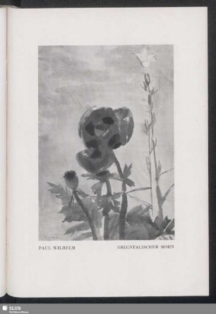 Paul Wilhelm: Orientalischer Mohn