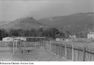 Tor auf einem Spielfeld im Hintergrund die Burg Greifenstein