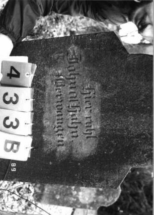 Grabstein 433 (Index: 99752738) Material: Sandstein Zustand: verwittert Maße HxBxT: 139x54x12 cm Beschreibung: Stele, schräg eingezogener Rundbogenabschluß, Schriftfeld eingetieft Symbolik: Blüte: Grabstein 433B
