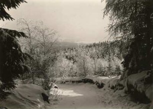 Oberlausitz. Verschneiter Waldweg zum Valtenberg bei Neukirch