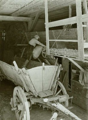 Hof Hartmann, Kasten- und Leiterwagen ohne Gespann