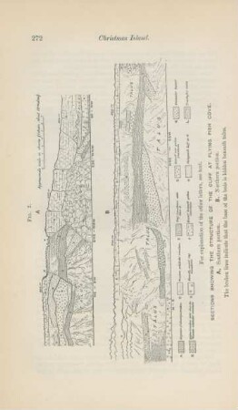 Sections showing the structure of the cliff at Flying Fisch Cove