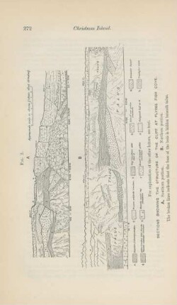 Sections showing the structure of the cliff at Flying Fisch Cove