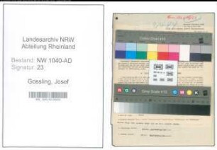 Entnazifizierung Josef Gossling , geb. 13.05.1914 (Angestellter)