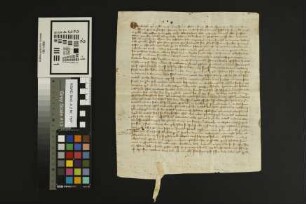 Gundheim: Kaufbrief des Klosters Hochheim über Güter zu Gundheim
