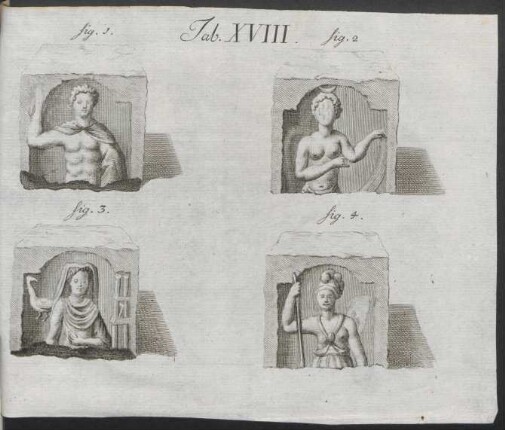 Tab. XVIII.