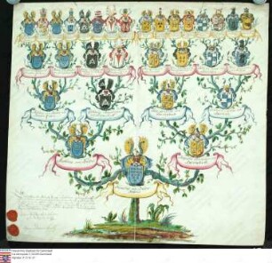 Ahnenprobe des August v. Bülow. - ausgefertigt 1749 Januar 2, Pergament